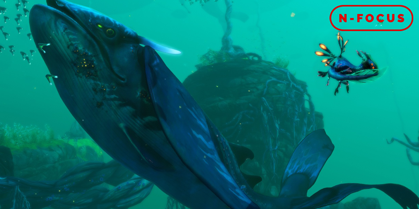 N-Focus #153 – A whale of a time N-Focus